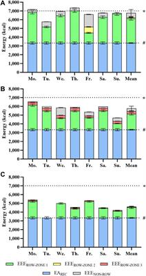 High Energetic Demand of Elite Rowing – Implications for Training and Nutrition